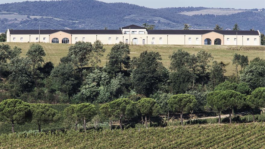 Schenk Italian Wineries