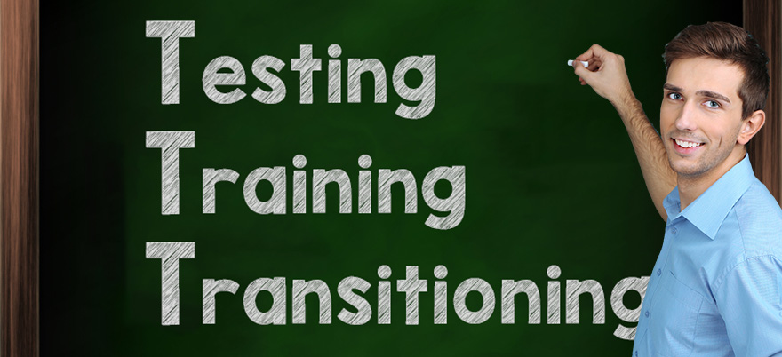 ERP: testing, training, transitioning