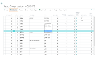 Custom Defined Fields per Business Central: funzionalità dell'app