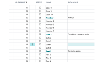 Custom Defined  Fields per Business Central: funzionalità dell'app