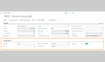 Custom Defined Fields per Business Central: funzionalità dell'app